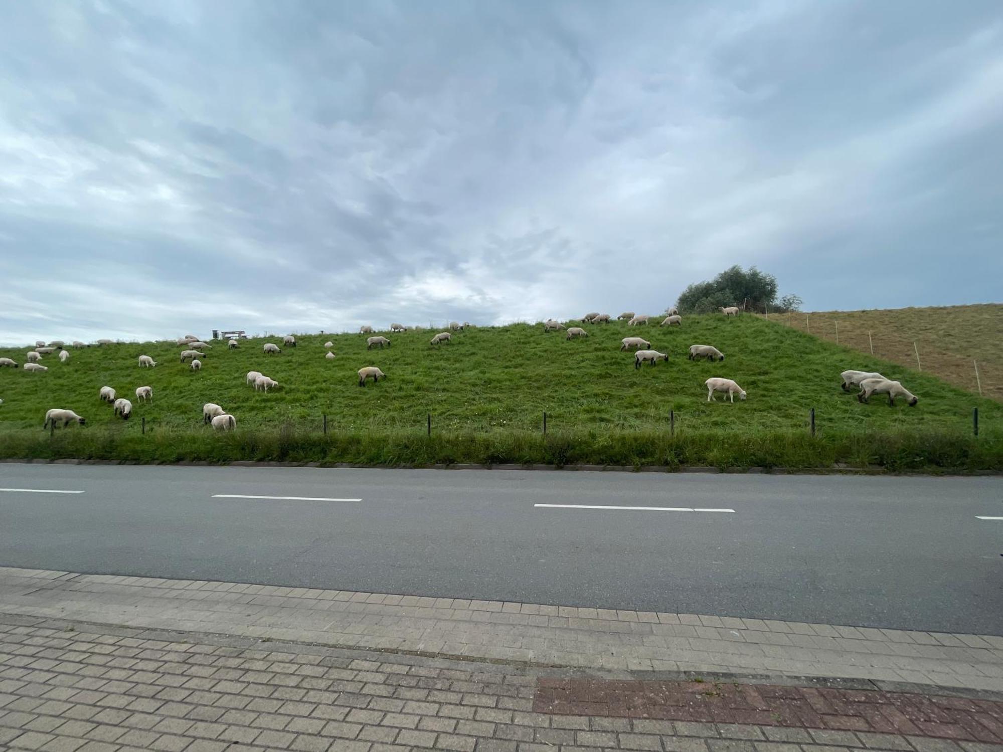Apartmán Nordwindoase Grünendeich Exteriér fotografie